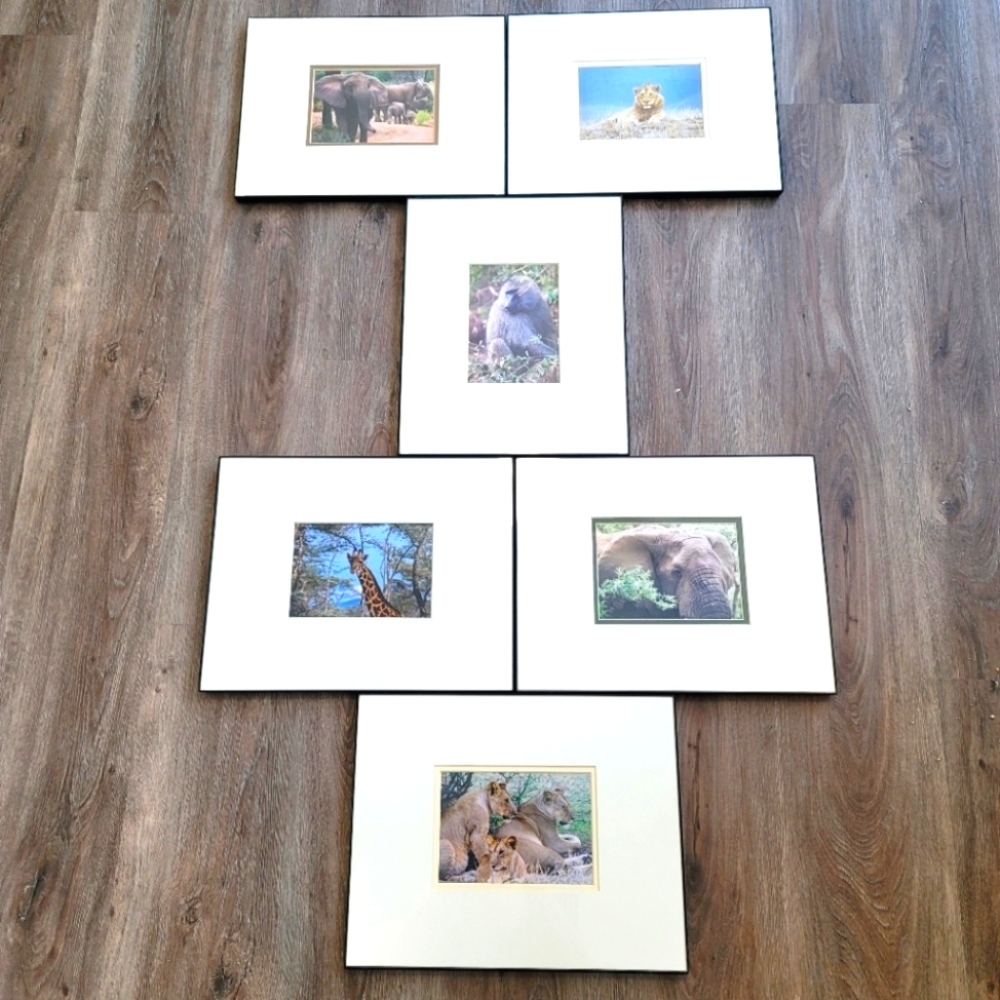 Framed/Mounted Set Of 6 11x14 Photographs From Africa Giraffe Lions Elephants